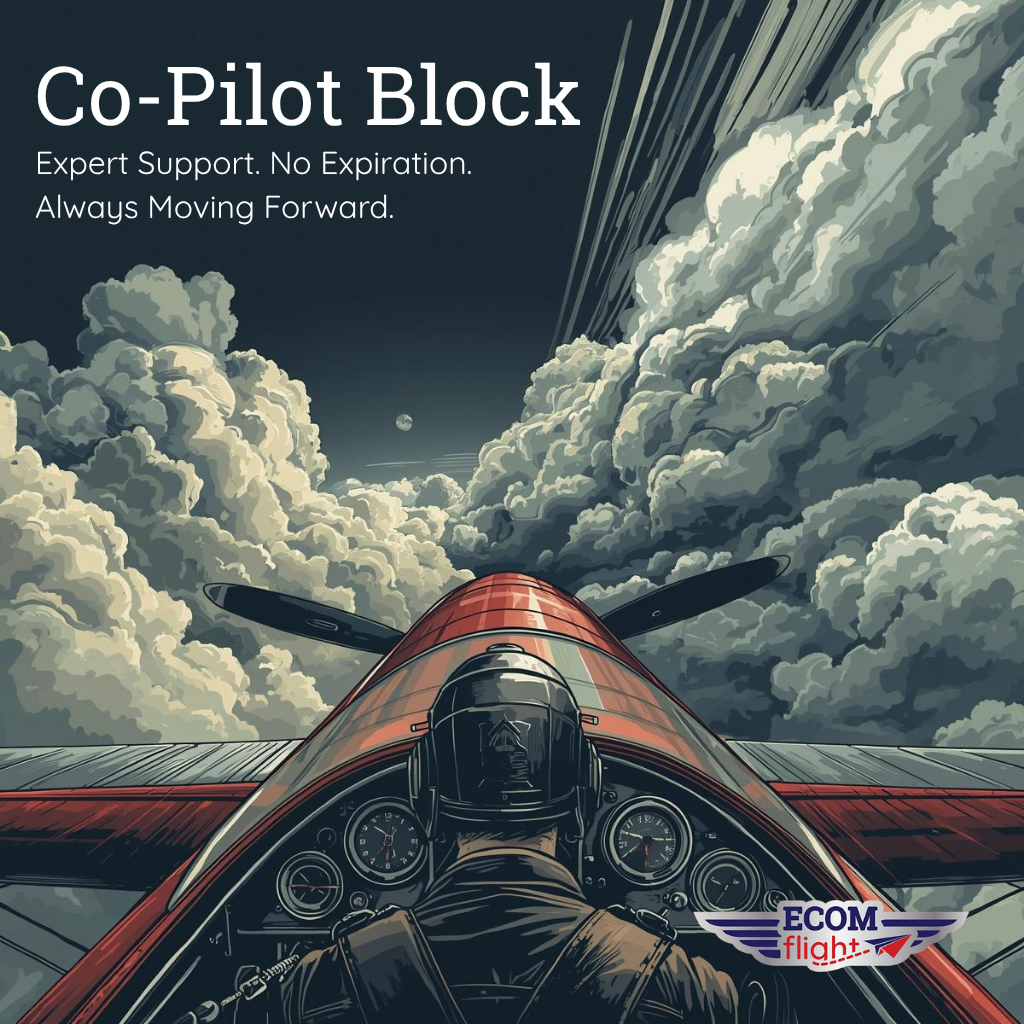 Co-Pilot Hours: Ongoing Shopify & eCommerce Support