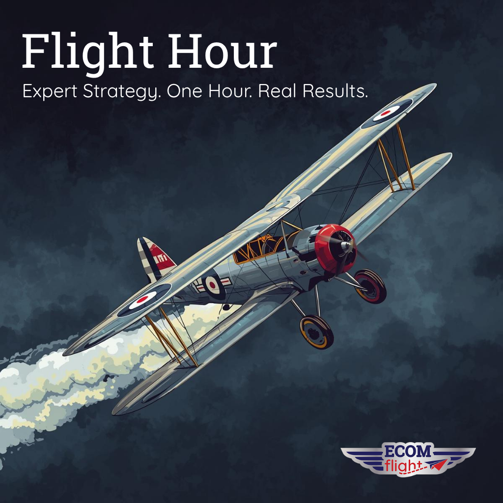Flight Hour: Expert Shopify & eCommerce Strategy Session