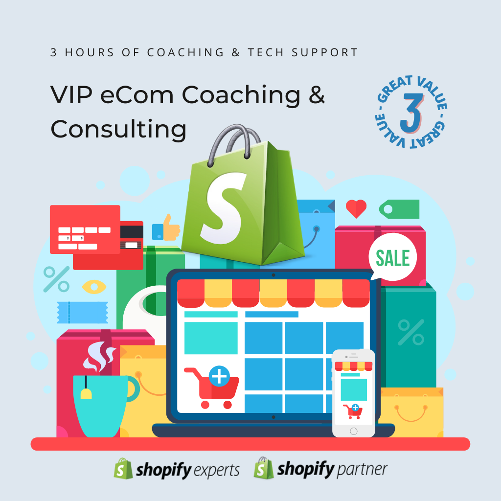 VIP eCom Coaching + Consulting // 3hrs